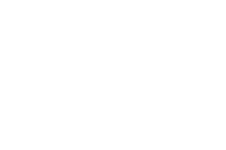 V2Nex